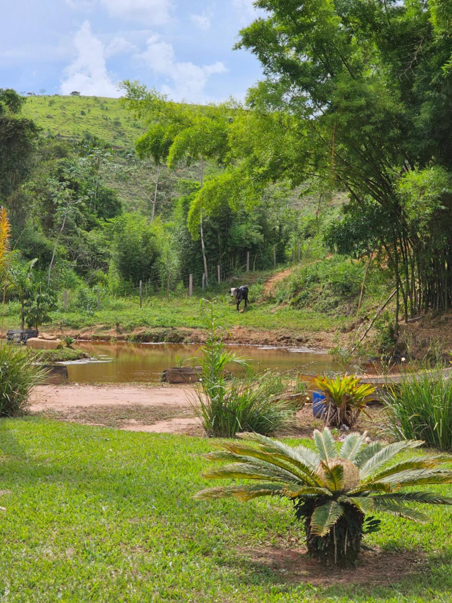 Sitio Reis Membeca Paraíba do Sul Buitenkant foto