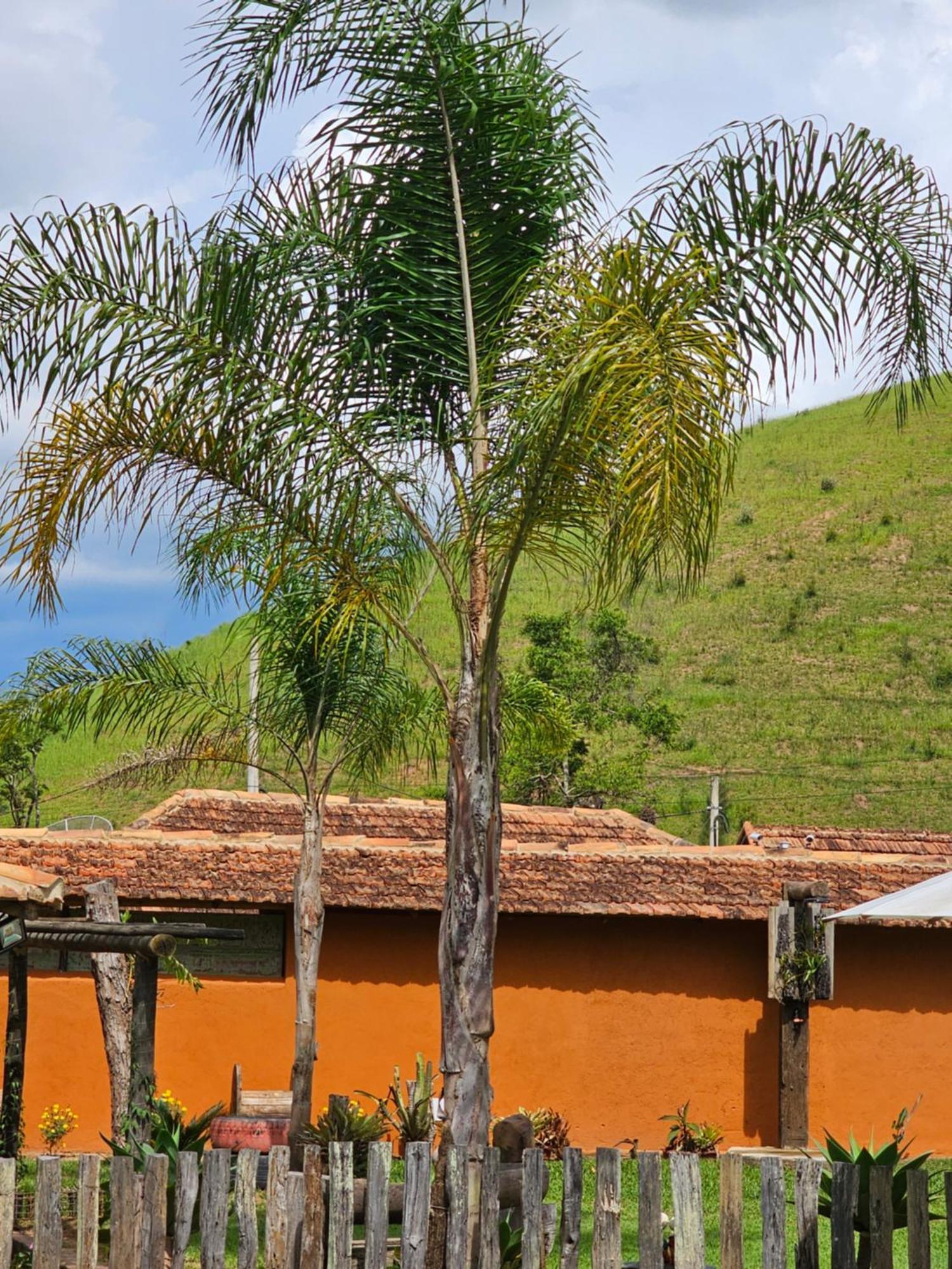 Sitio Reis Membeca Paraíba do Sul Buitenkant foto