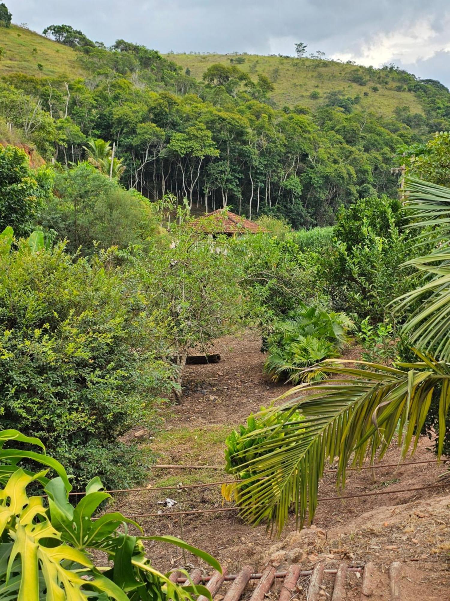 Sitio Reis Membeca Paraíba do Sul Buitenkant foto