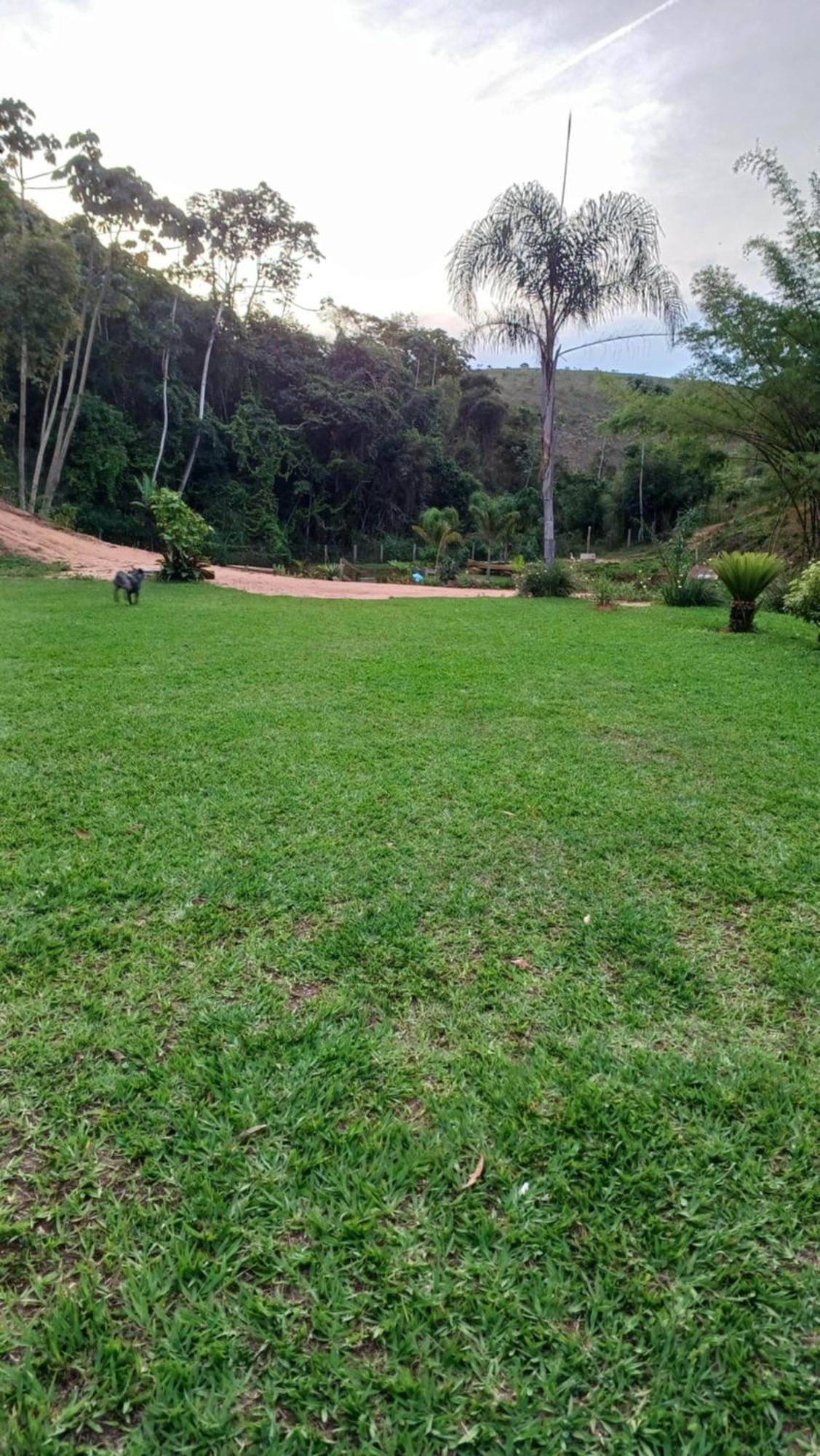Sitio Reis Membeca Paraíba do Sul Buitenkant foto